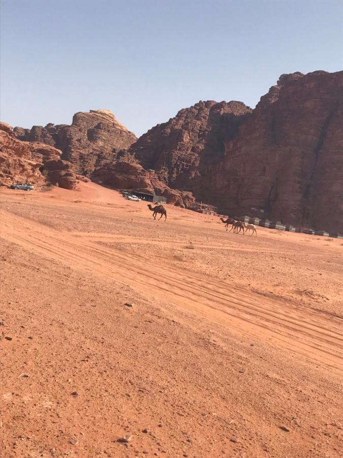 Bedouin House Camp Hotel Wadi Rum Luaran gambar