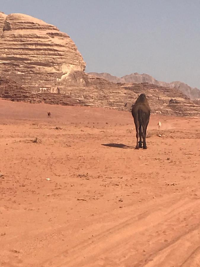 Bedouin House Camp Hotel Wadi Rum Luaran gambar