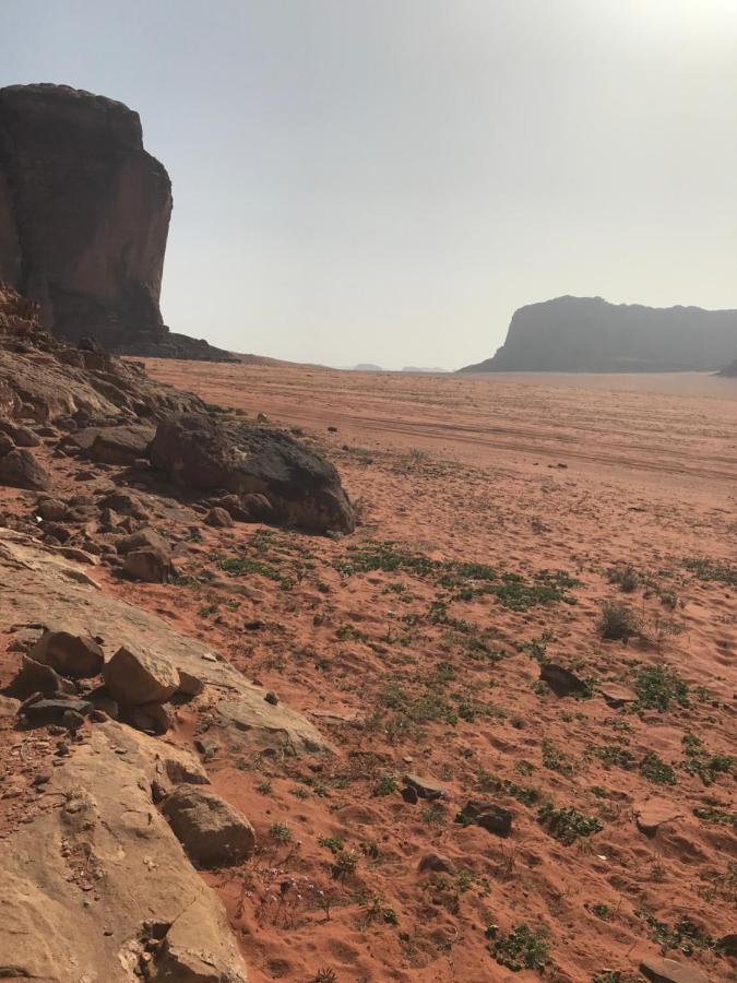 Bedouin House Camp Hotel Wadi Rum Luaran gambar