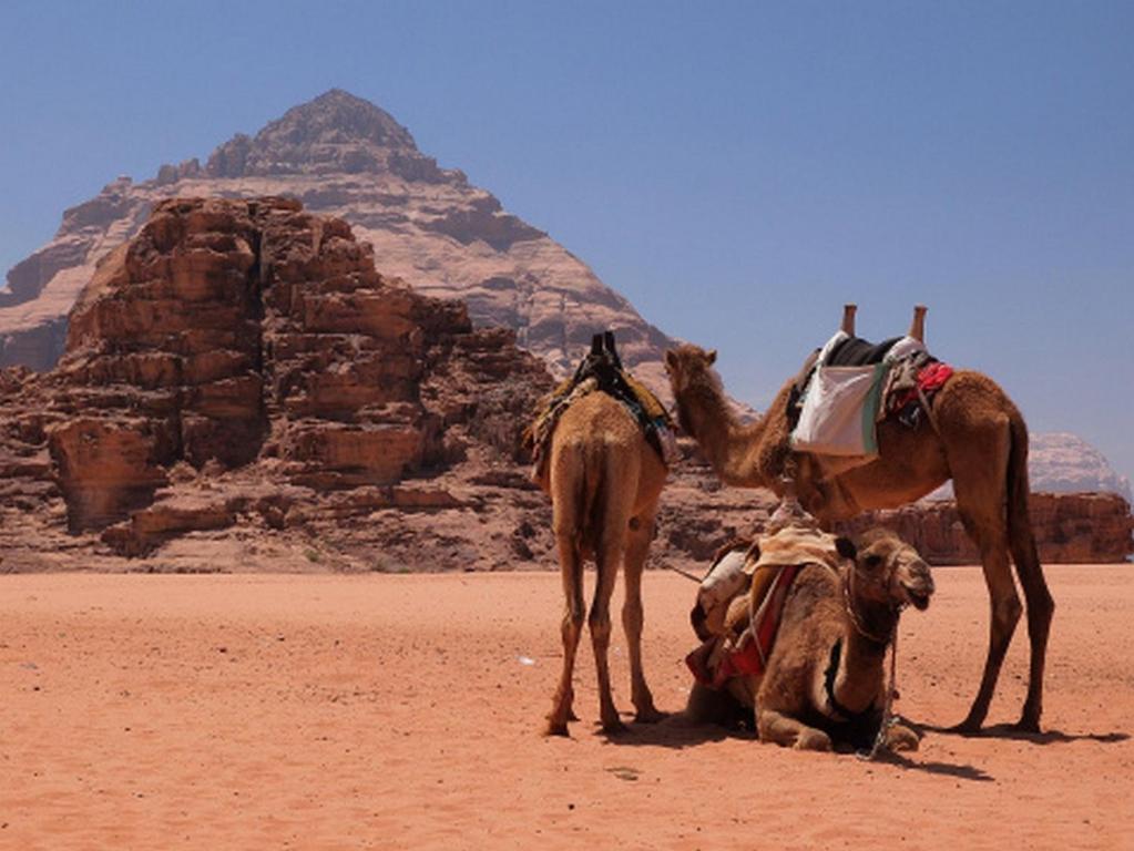 Bedouin House Camp Hotel Wadi Rum Luaran gambar